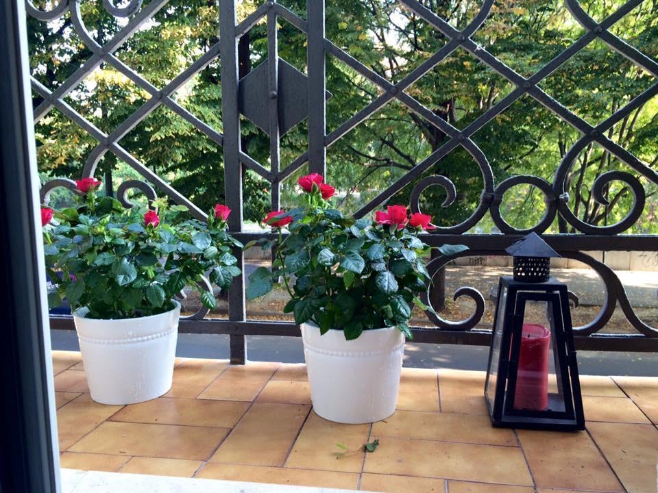 Maison Dora 10 Turyn Zewnętrze zdjęcie